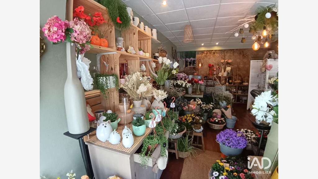 Vente FDC fleuriste à Lorient centre