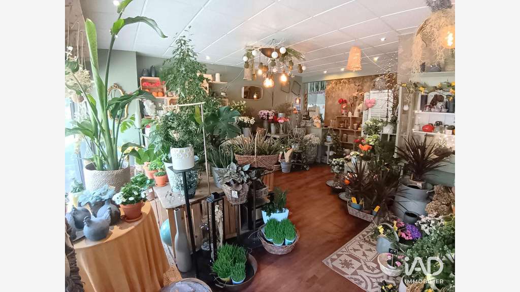 Vente FDC fleuriste à Lorient centre