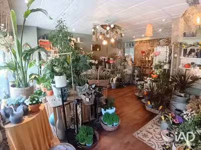 Vente FDC fleuriste à Lorient centre