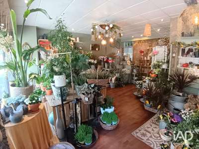 Vente Cadeaux - Fleurs à Lorient