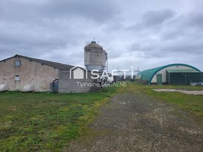 Vente Agriculture - Viticulture à Loudun