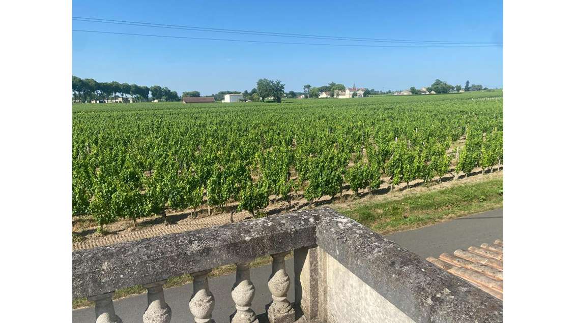Opportunité unique domaine rare à Pomerol