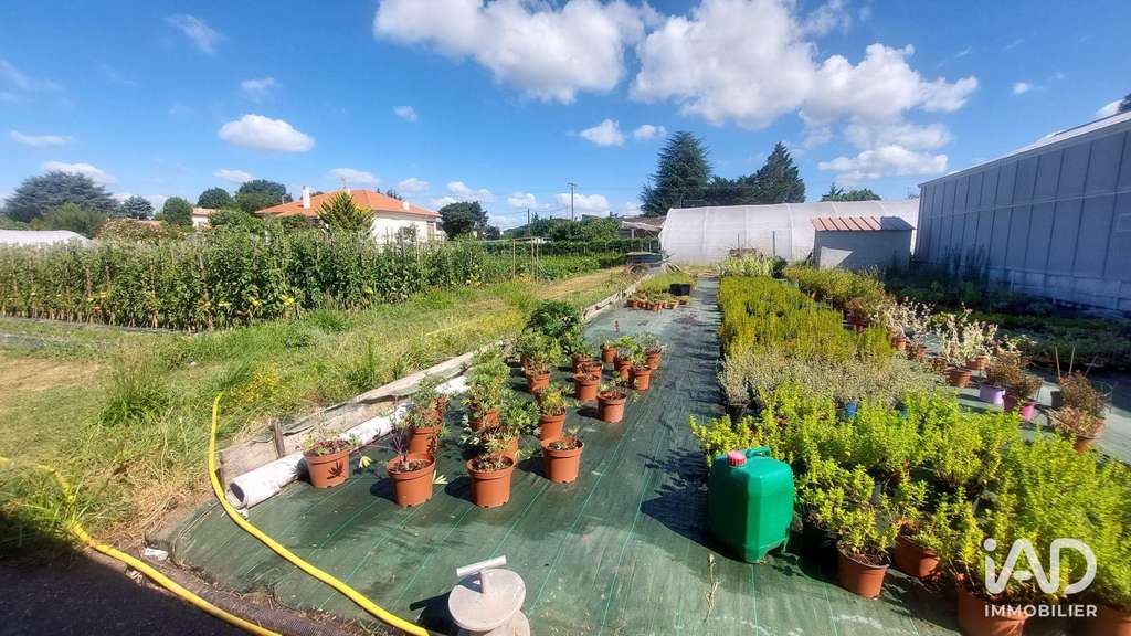 FDC horticole jardinerie  à St-Magne-de-Castillon
