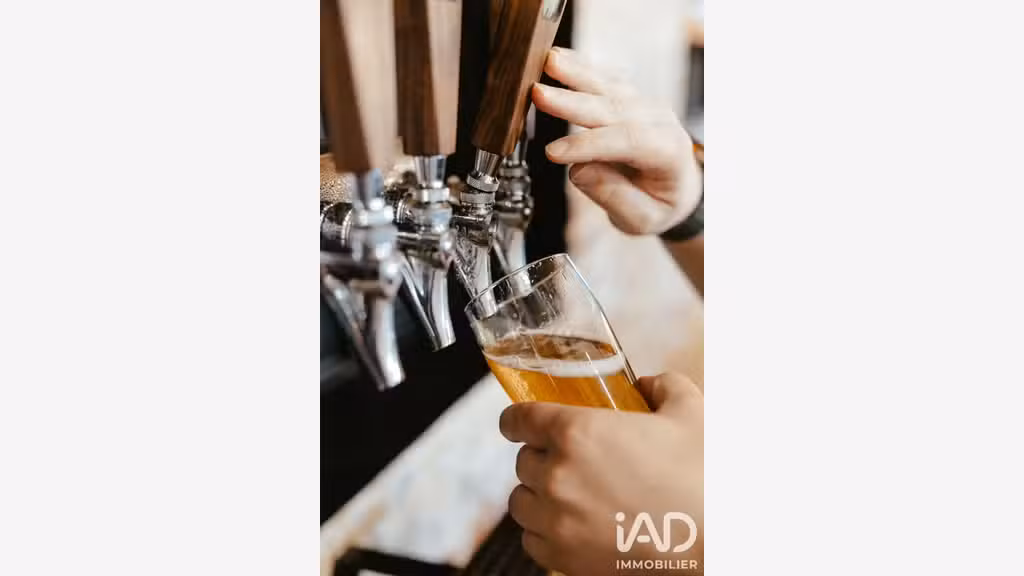 Vente bar brasserie licence IV dans le Vieux Tours