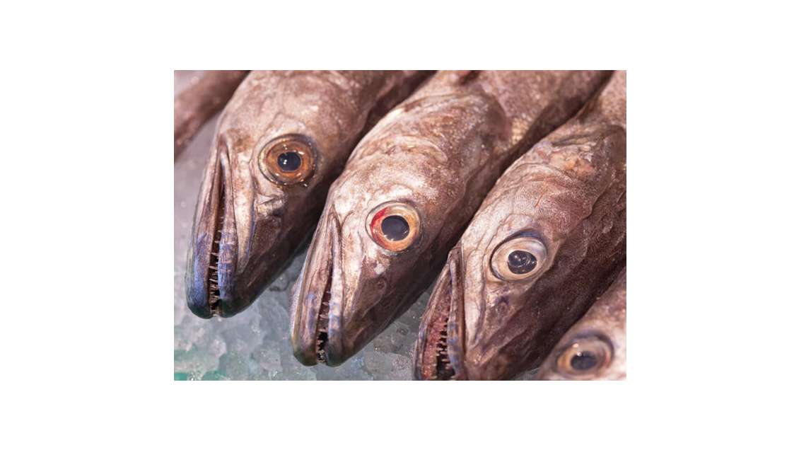 Vente poissonnerie en centre bourg dynamique Ain