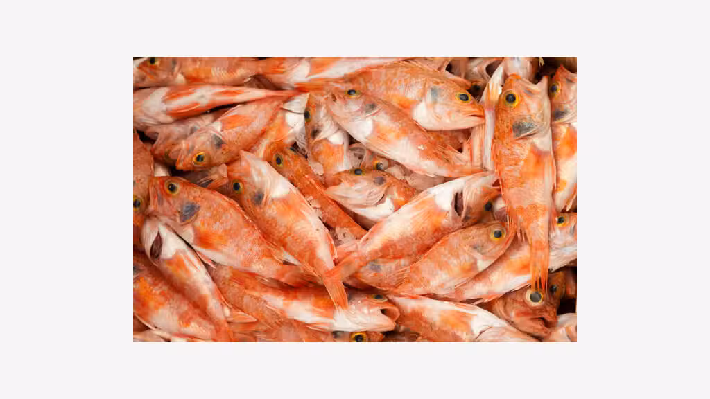 Vente poissonnerie en centre bourg dynamique Ain