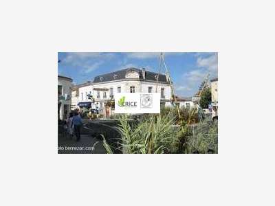 Vente supérette en centre ville Charente Maritime