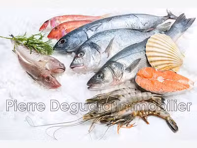 Vente poissonnerie rénovée à Montpellier centre