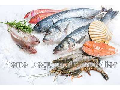 Vente Animalerie - Chasse - Pêche à Montpellier