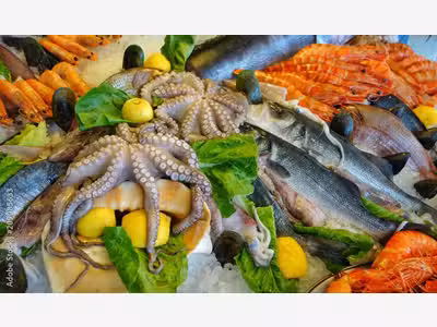 Vente poissonnerie au coeur de Montpellier