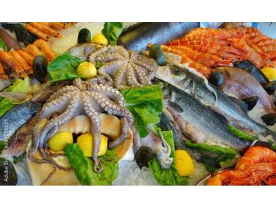 Vente Alimentation à Montpellier