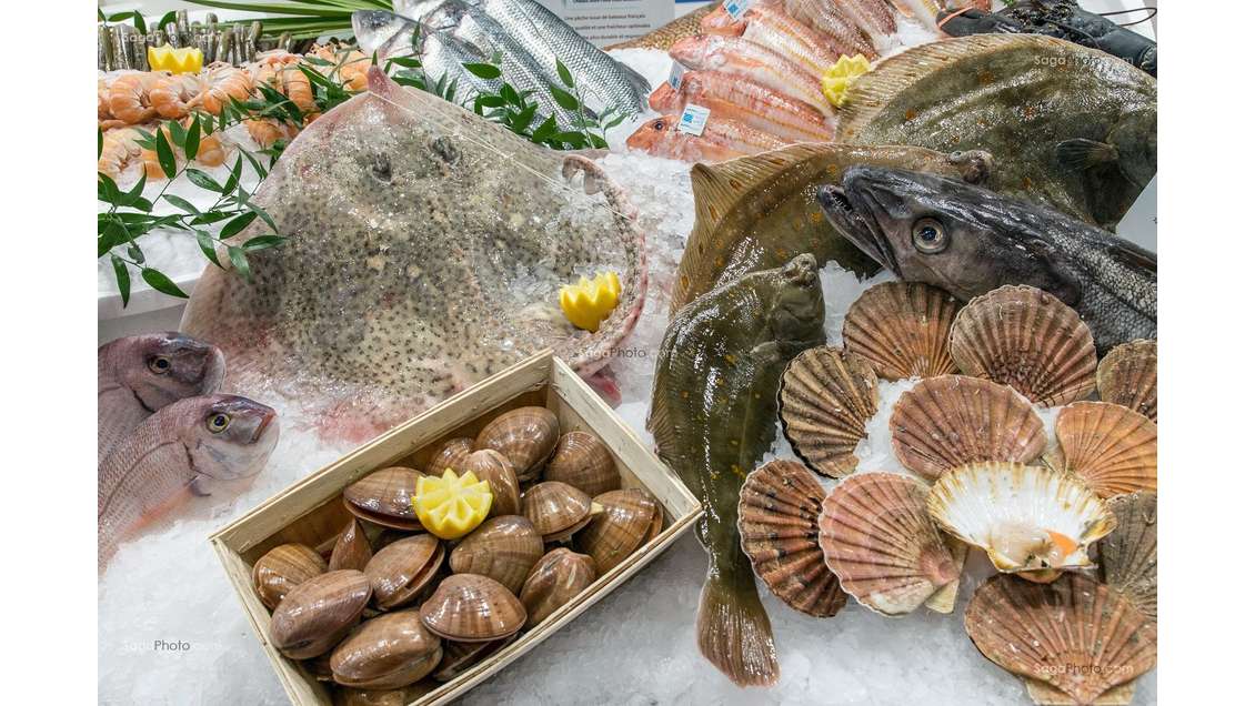 Vente FDC poissonnerie et produits de la mer 22