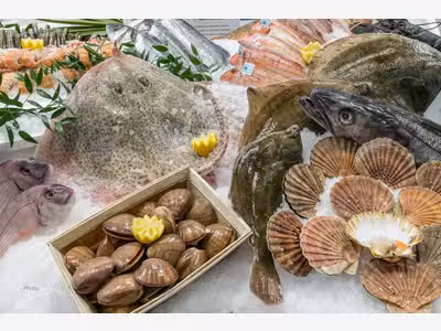 Vente FDC poissonnerie et produits de la mer 22