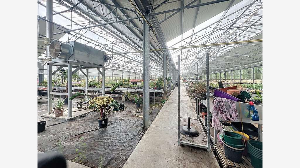 Fonds + murs jardinerie sous enseigne à Dampierre