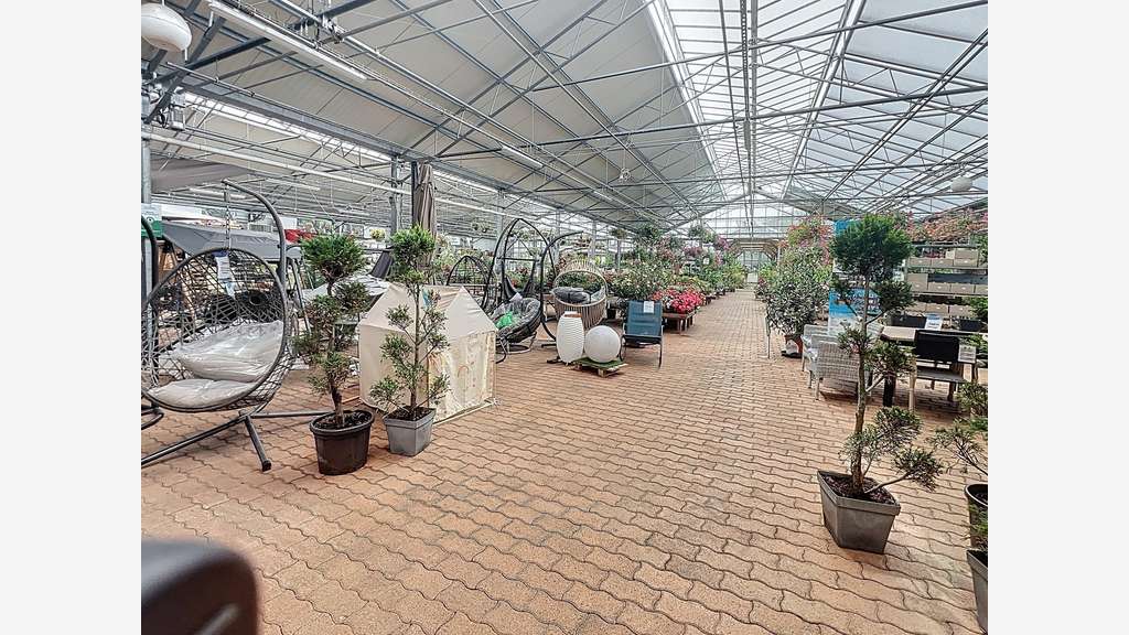 Fonds + murs jardinerie sous enseigne à Dampierre