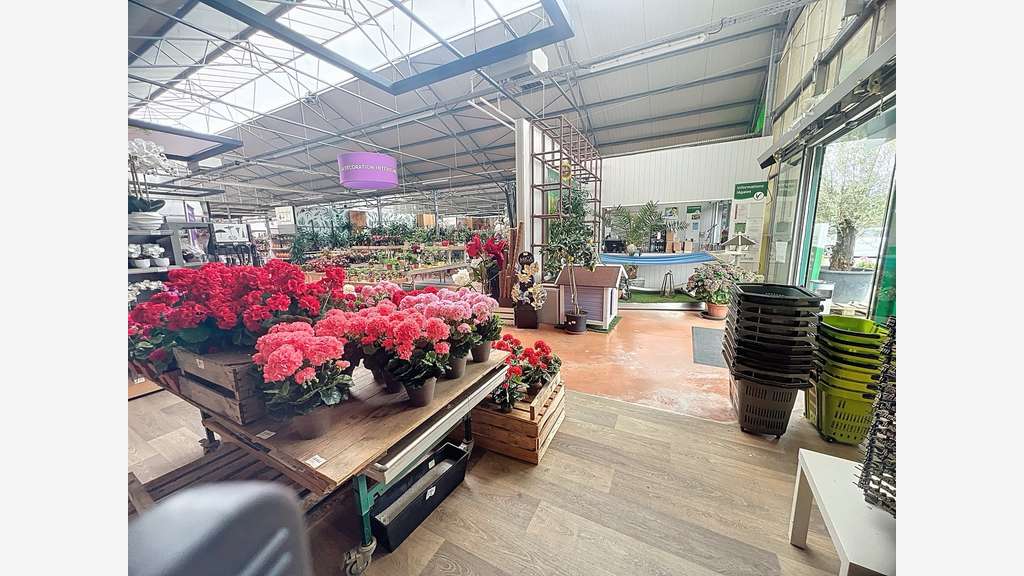 Fonds + murs jardinerie sous enseigne à Dampierre