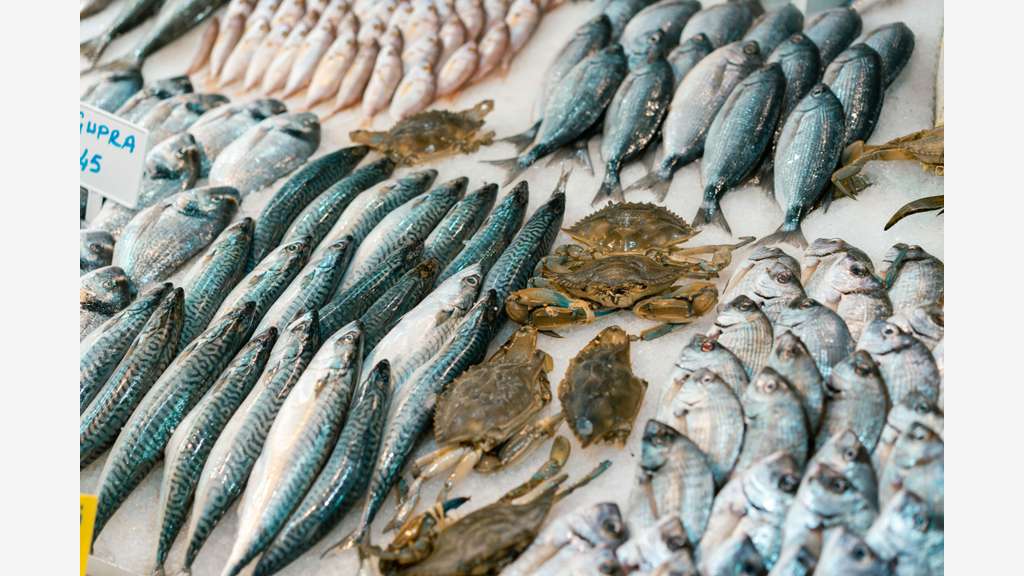 Poissonnerie avec espace degustation Tarnos plage