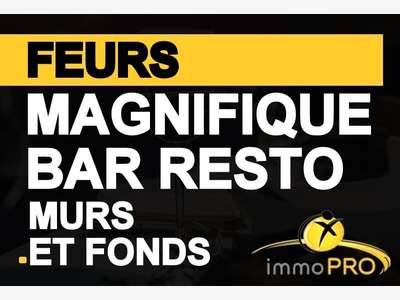 Vend très beaux bar restaurant à Feurs centre