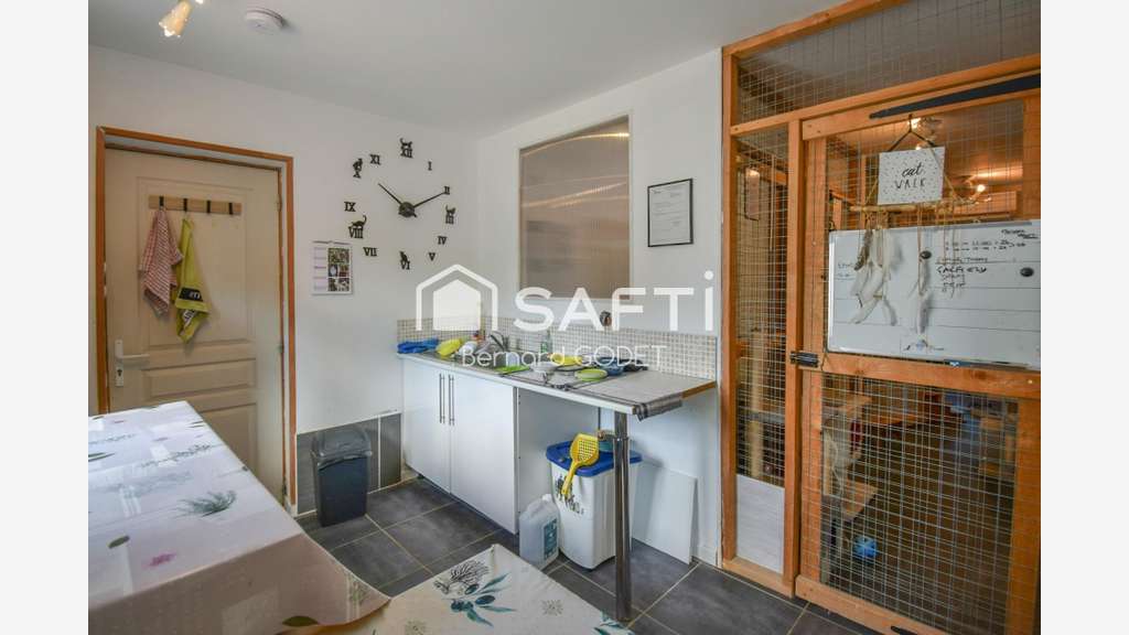 Pension féline haut de gamme + maison d’habitation