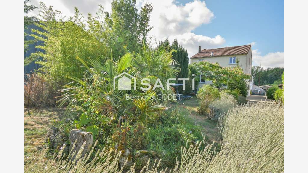 Pension féline haut de gamme + maison d’habitation