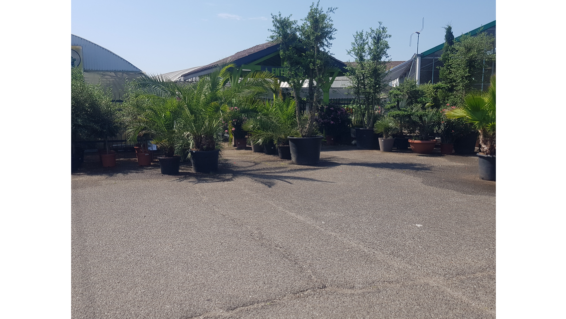 Vente sociétés jardinerie et pépinière dans le 47