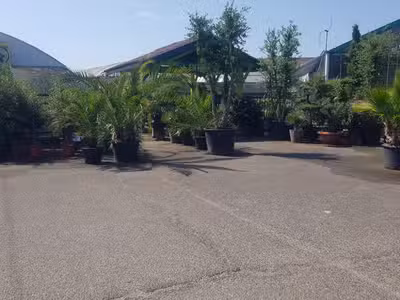 Vente sociétés jardinerie et pépinière dans le 47
