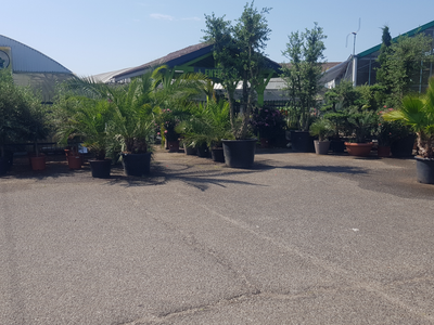 Vente Agriculture - Viticulture à Agen