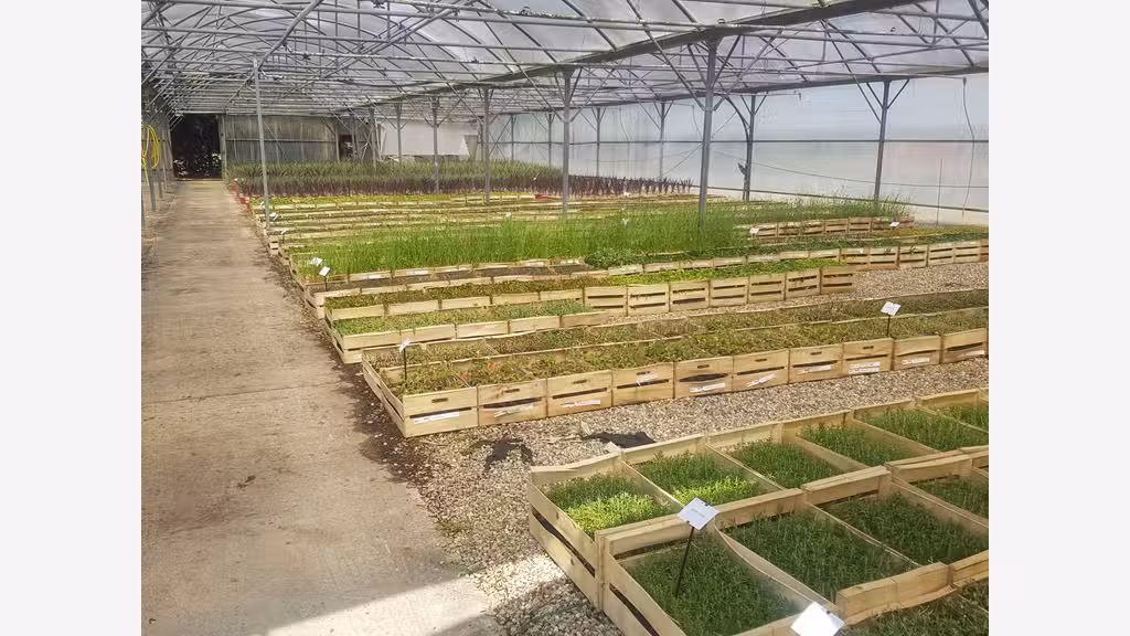 Vente sociétés jardinerie et pépinière dans le 47