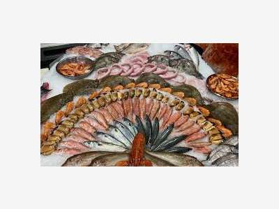 Vente belle poissonnerie secteur Nantais