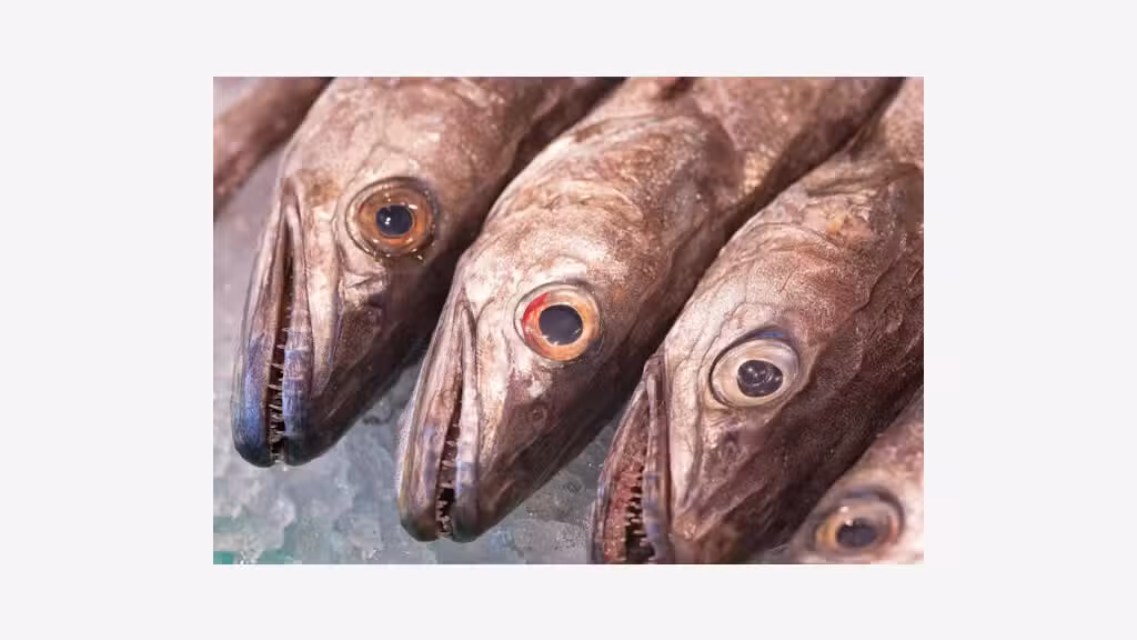 Vente poissonnerie restaurant en bord de mer 66