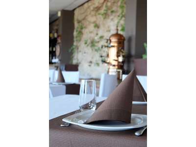 Vente Hôtel - Hôtel restaurant à Carcassonne