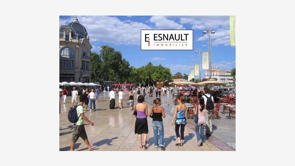 Restaurant cuisine asiatique à vendre Montpellier