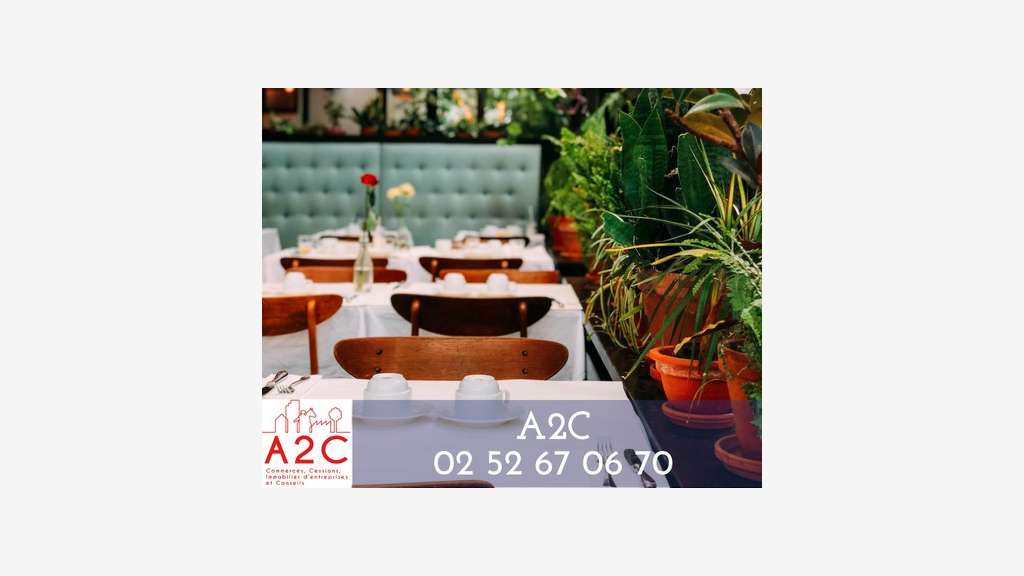 Murs + fonds restaurant bar lic IV appartement 85