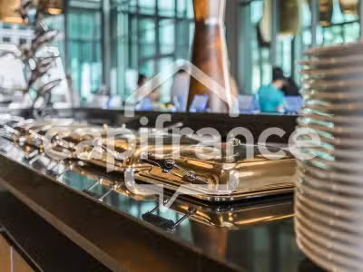Vente restaurant pub licence IV à Lyon 69004