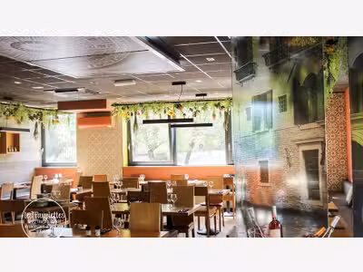 Restaurant vae à céder au NORD de Lyon