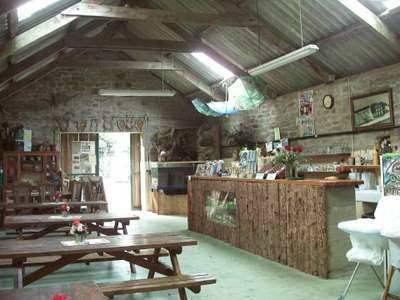 Parc animalier à reprendre Morbihan (56)