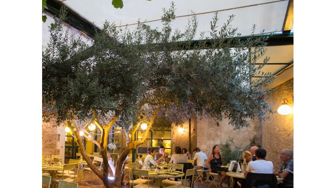 Vente brasserie Licence III secteur Conflent dept 