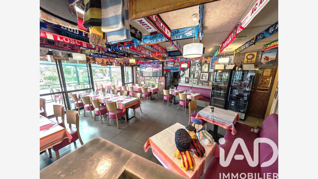 Vente brasserie de caractère à Saint-Nazaire 66