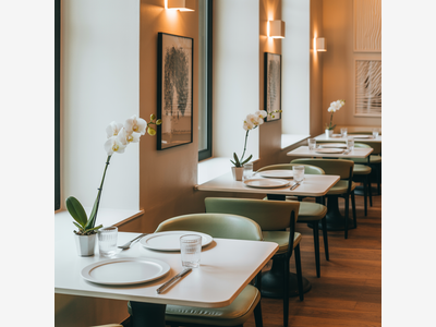 Restaurant avec logement de fonction Val de Marne