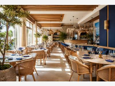 AV restaurant premium à très forte rentabilité 13