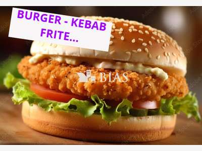 AV restauration rapide-pizza-kebab 76