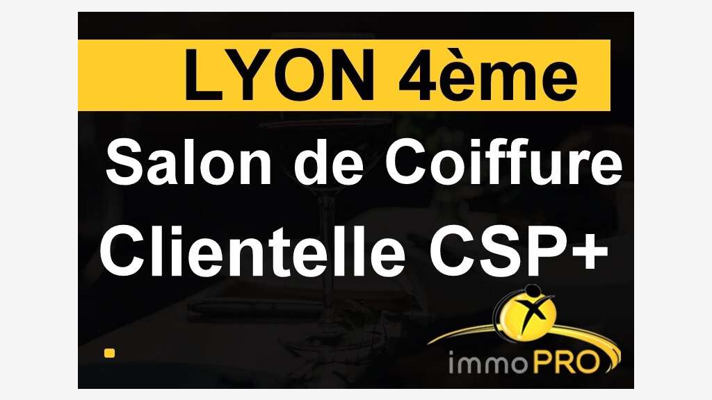 Vente salon de coiffure en parfait état à Lyon