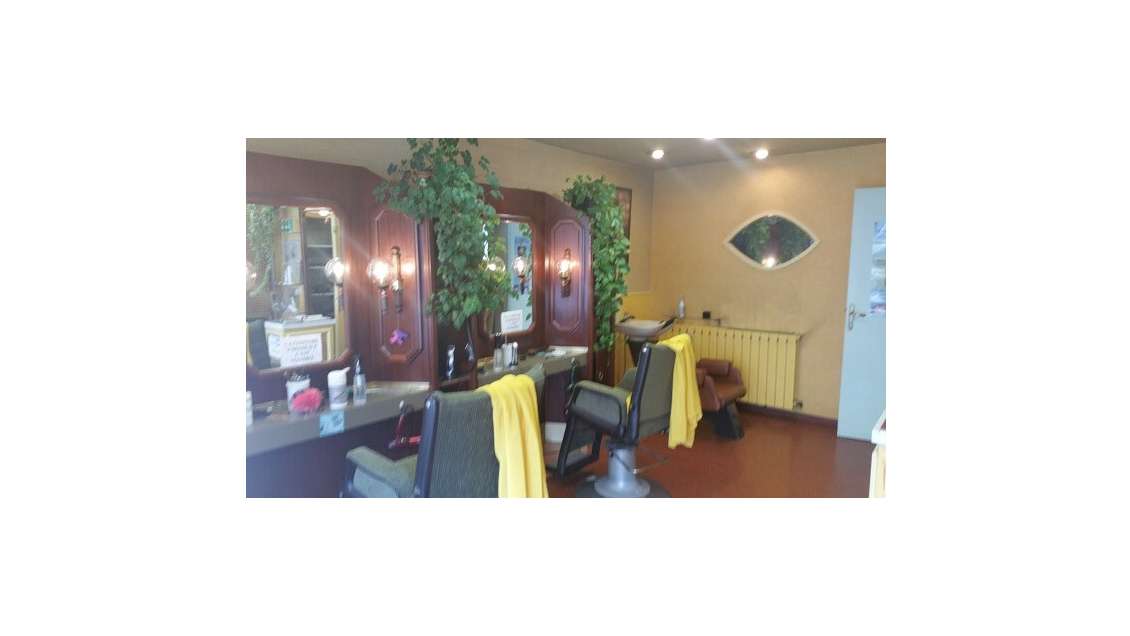 Vend FDC  coiffeur pme clinique du cheveux dept 70