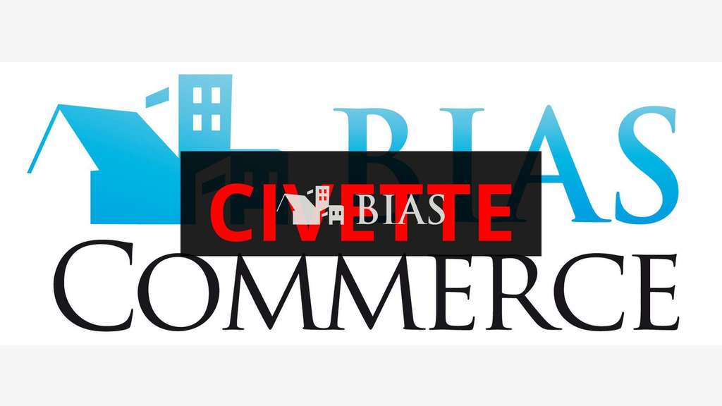 Vente sublime civette FDJ en Seine Maritime