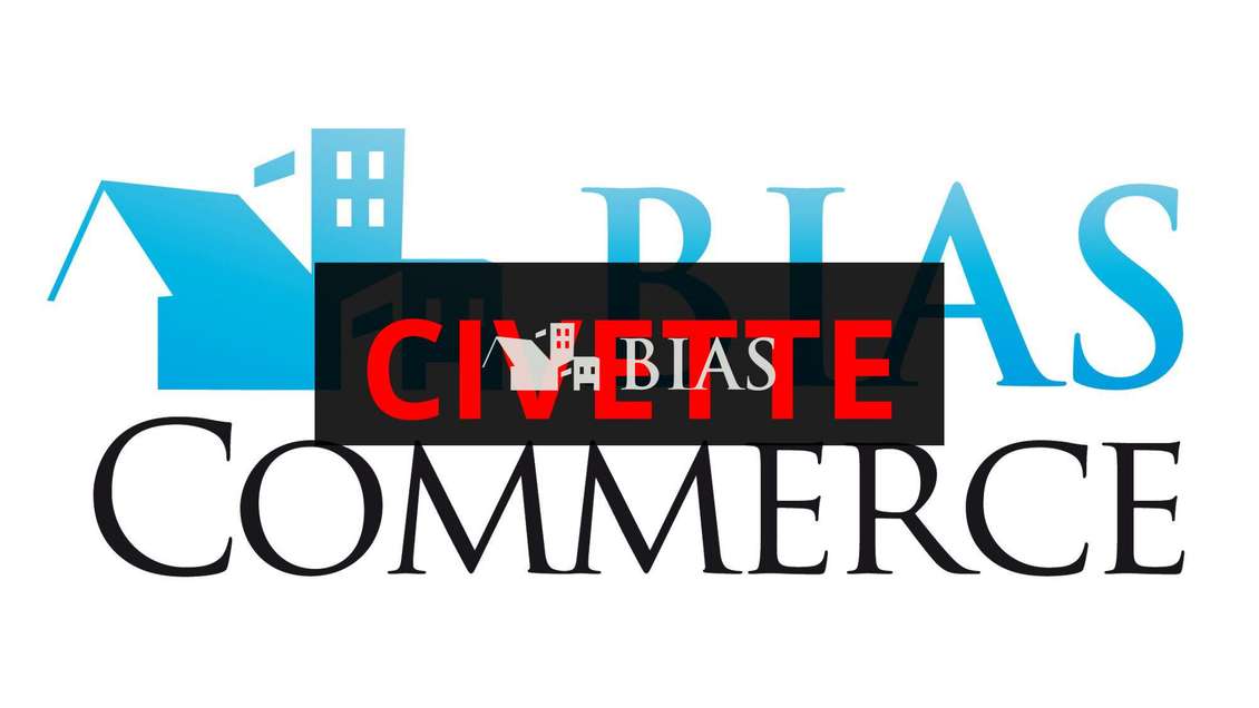 Vente sublime civette FDJ en Seine Maritime