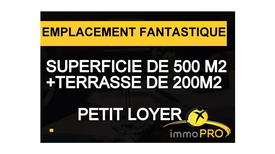Vente superbe affaire unique 700m² sur Lyon 69007