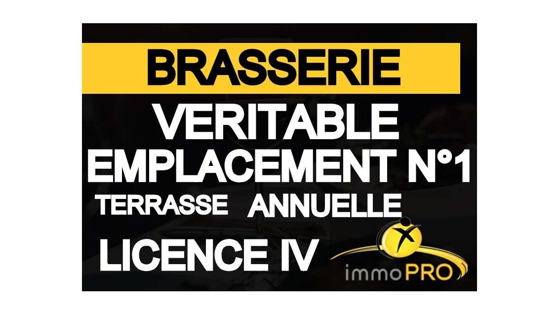 AV superbe brasserie top emplacement à Lyon centre