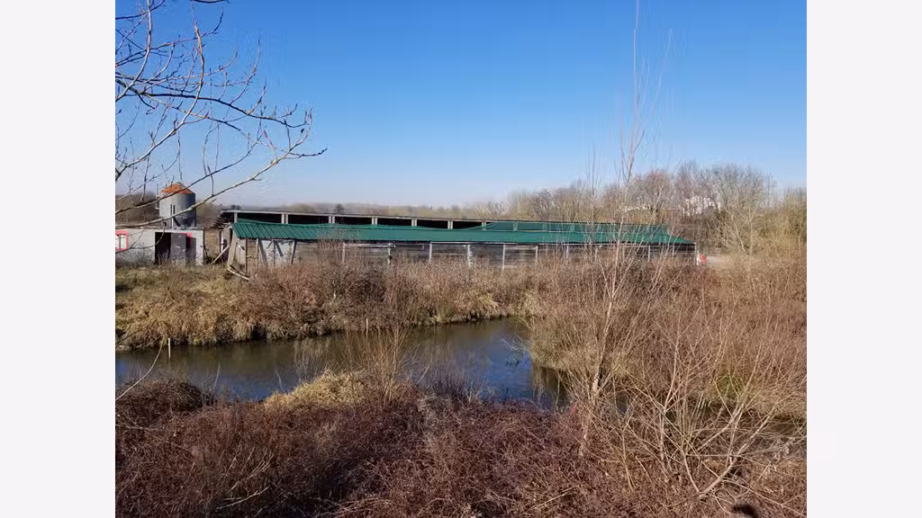 Terrain avec écuries 600m² à vendre à Bruges