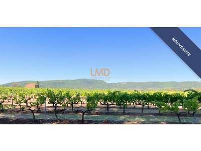 Vente Agriculture - Viticulture à La Motte