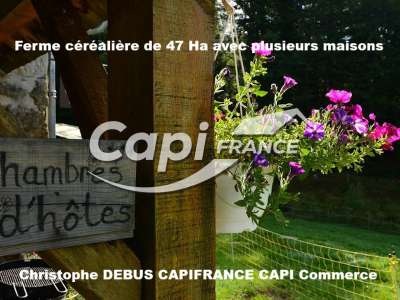 Vente Agriculture - Viticulture à Thuret